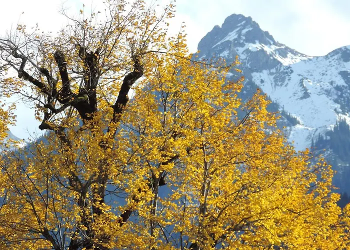 Апартаменты Mathis