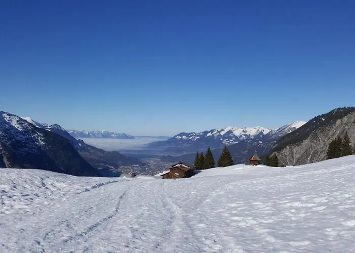 Mathis Фанданс